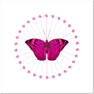 Butterfly - Flowers - Magenta - Africa Posters and Art